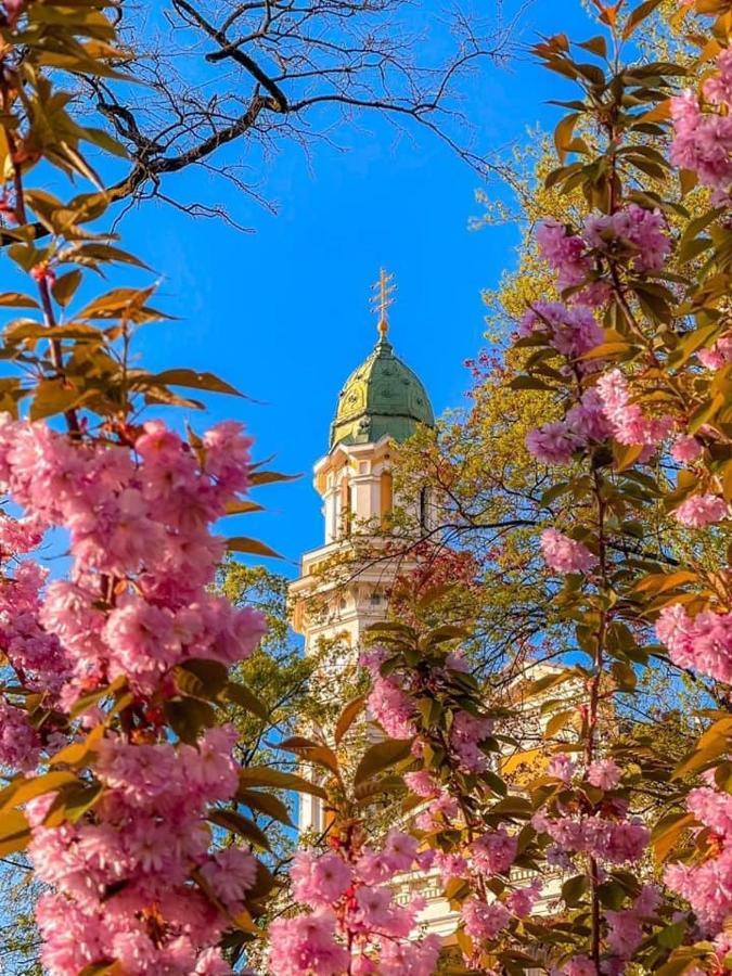 Старовинні Апартаменти У Центрі Міста 乌日霍罗德 外观 照片